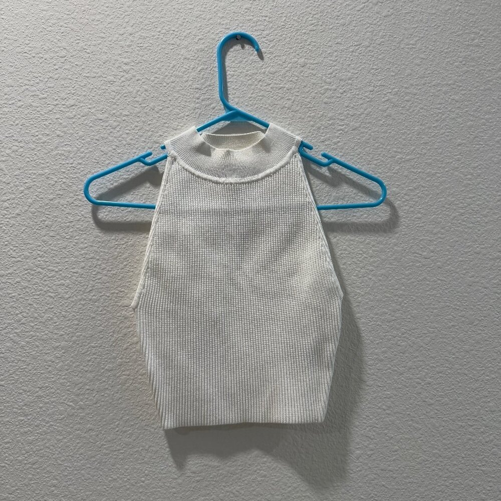 Aritzia Babaton Cropped Halter Top (White - XS)